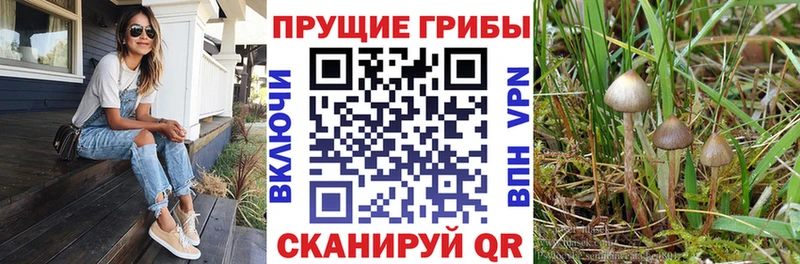 Псилоцибиновые грибы Magic Shrooms  Усть-Катав 